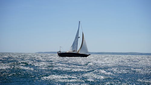 海の白と黒の帆船