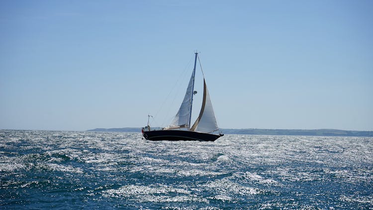 White And Black Sail Boat On Ocean