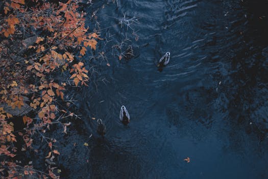 Image by Ariadna Sem