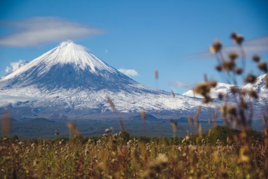 Valley of Geysers helicopter day — Kamchatka