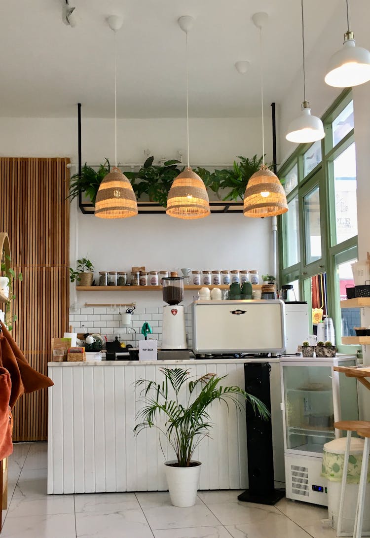 Potted Plants On Kitchen