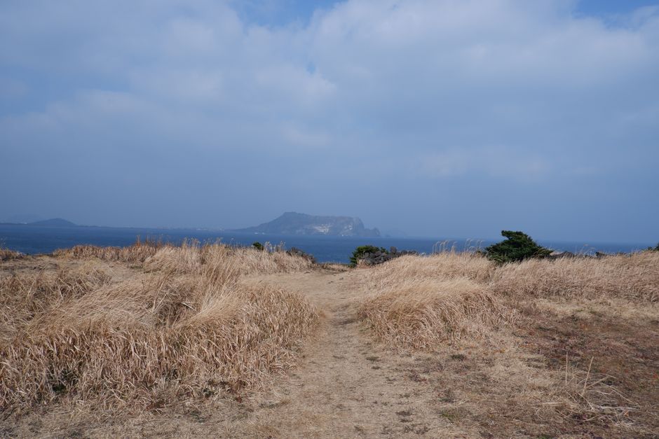 제주 가을 억새밭 풍경