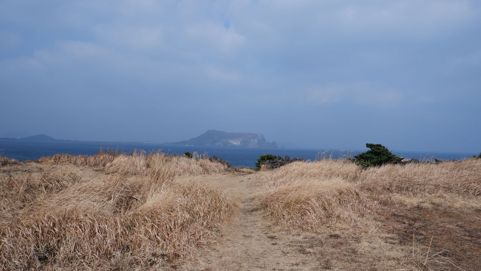 Pemandangan garis pantai Pulau Jeju dengan laut luas dan lanskap alami khas Korea Selatan
