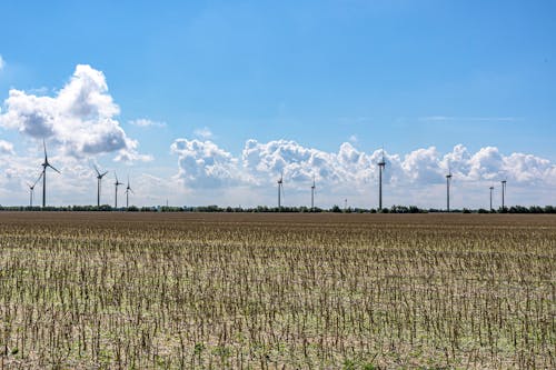Free Windmills on a Field Stock Photo