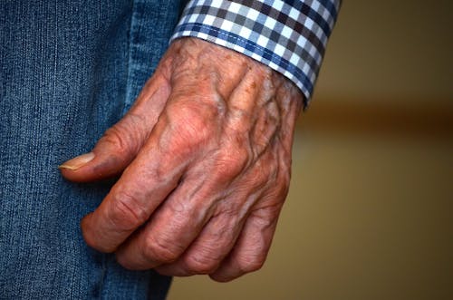 Free Wrinkled Hand of an Elderly Person Stock Photo