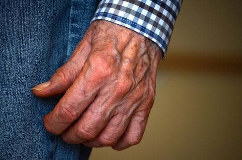 Fotos de stock gratuitas de abuelo, adulto, amor