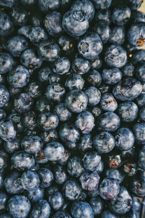 Close-up Photo of Blueberries