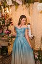 Beautiful Woman in Blue Dress
