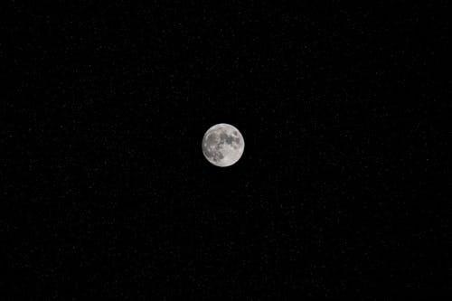 Foto d'estoc gratuïta de cel nocturn, lluna, lluna plena
