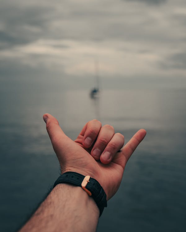 Close-Up View of Hand Gesturing · Free Stock Photo