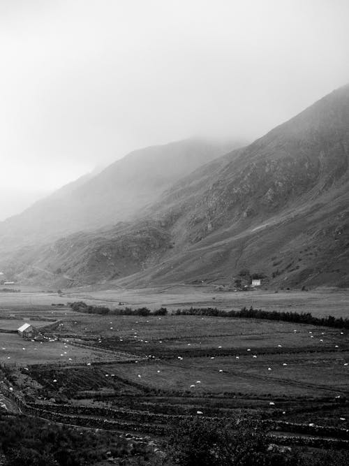 Black and White Picture of Rural Fields at Foot of Mountain