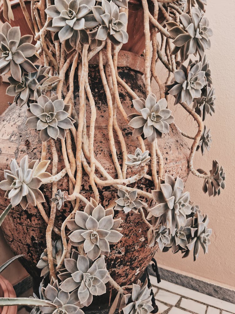 Green Flowers On Brown Clay Jar