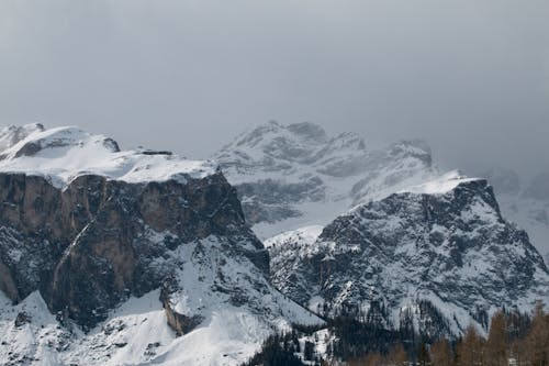 Fotos de stock gratuitas de con niebla, cubierto de nieve, invierno