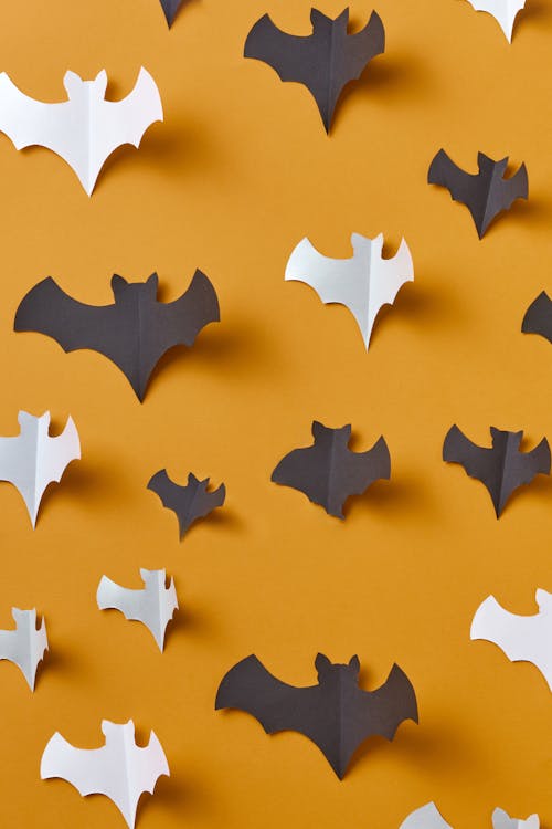 Bat Shaped Paper on Orange Wall 
