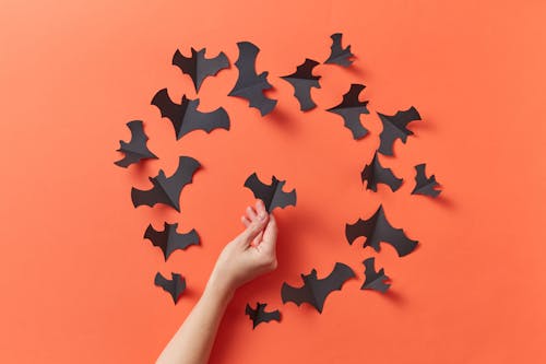 Person Holding a Black Bat Shaped Paper Cut Out