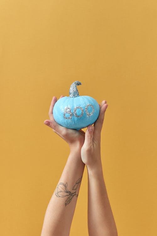 Person Holding a Blue Pumpkin 