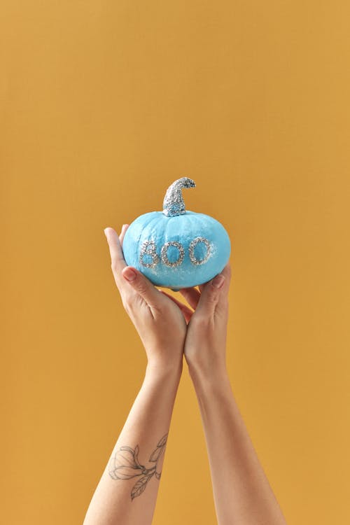 A Person Holding a Blue Pumpkin