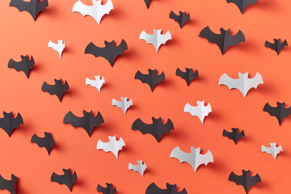 Creative Halloween theme with paper bats on orange wall for festive decoration.