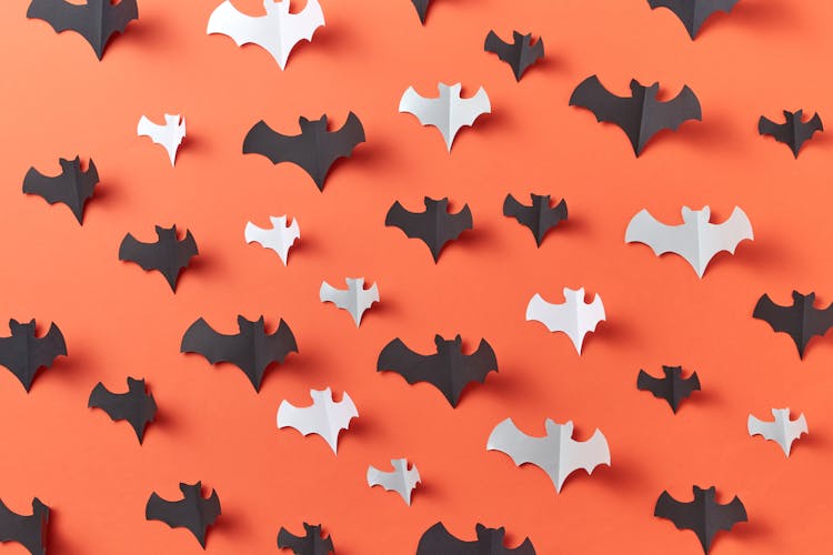 White And Black Bat Shaped Paper On Orange Wall 