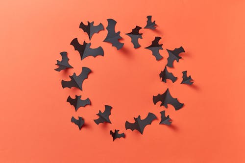 Paper Bats on Orange Wall