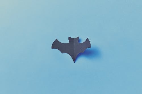 Paper Bat on Blue Wall