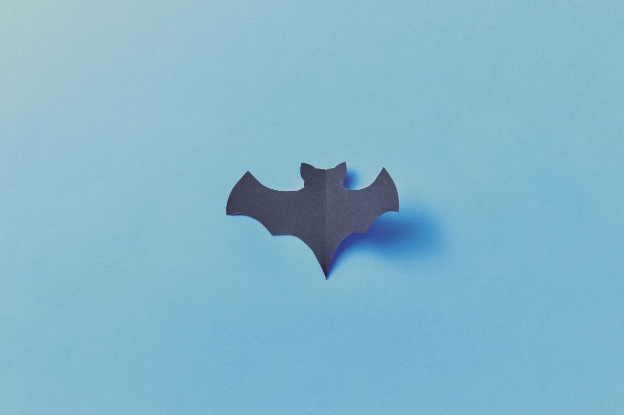 simple paper bat on a vibrant blue surface perfect for halloween decor