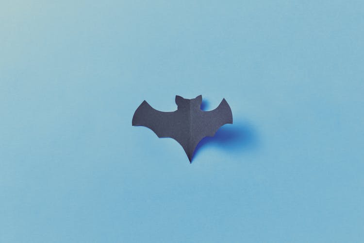 Paper Bat On Blue Wall