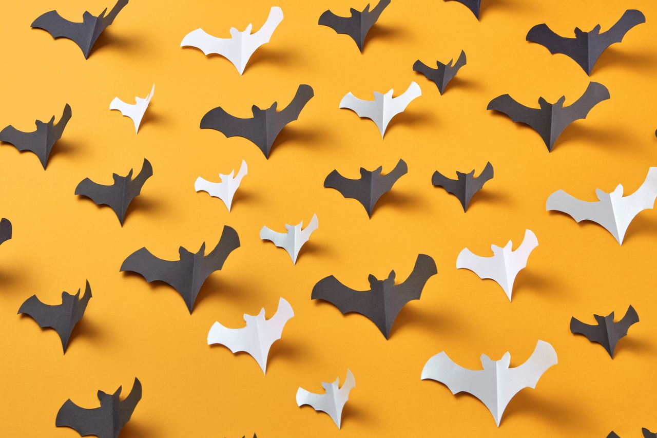creative arrangement of paper bat cutouts on a vibrant orange backgrou