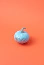 Light Blue Pumpkin with Glittery Boo Caption