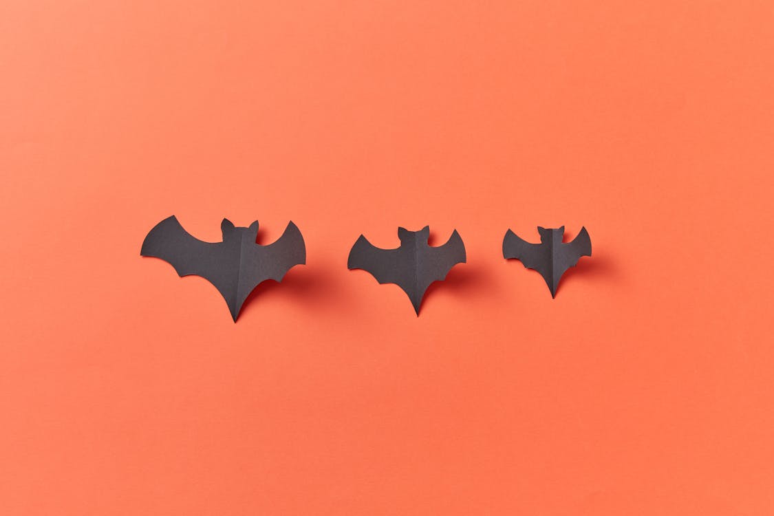 Black Bat Shaped Paper Cut Outs on a Red Surface