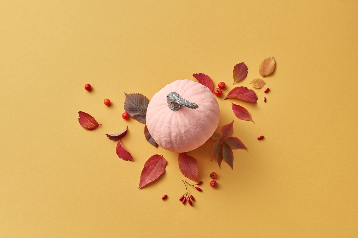 Aesthetic autumn arrangement with a pink pumpkin, red leaves, and red berries on a yellow background. Stock Photo.
