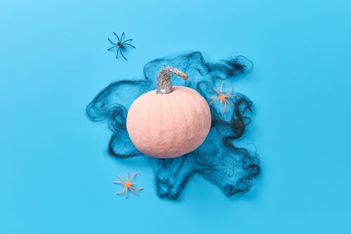 Pink Pumpkin on Blue Studio Background