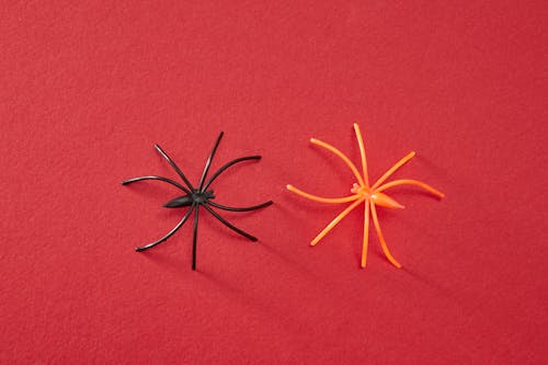 Plastic Toy Spiders