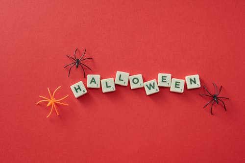 Immagine gratuita di bloccare, decorazione, halloween