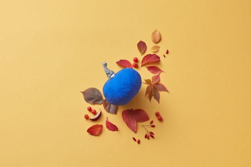 Blue Pumpkin and Red Leaves on Yellow Surface