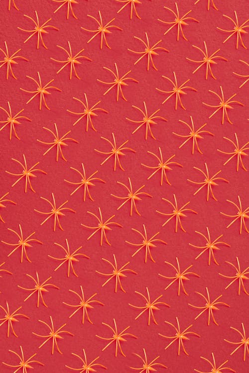 Spider Pattern on Red Surface