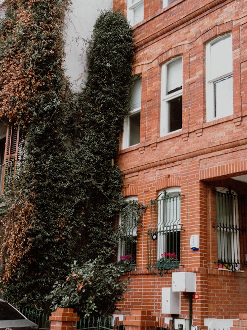 Gratis stockfoto met appartementencomplex, baksteen, buitenkant