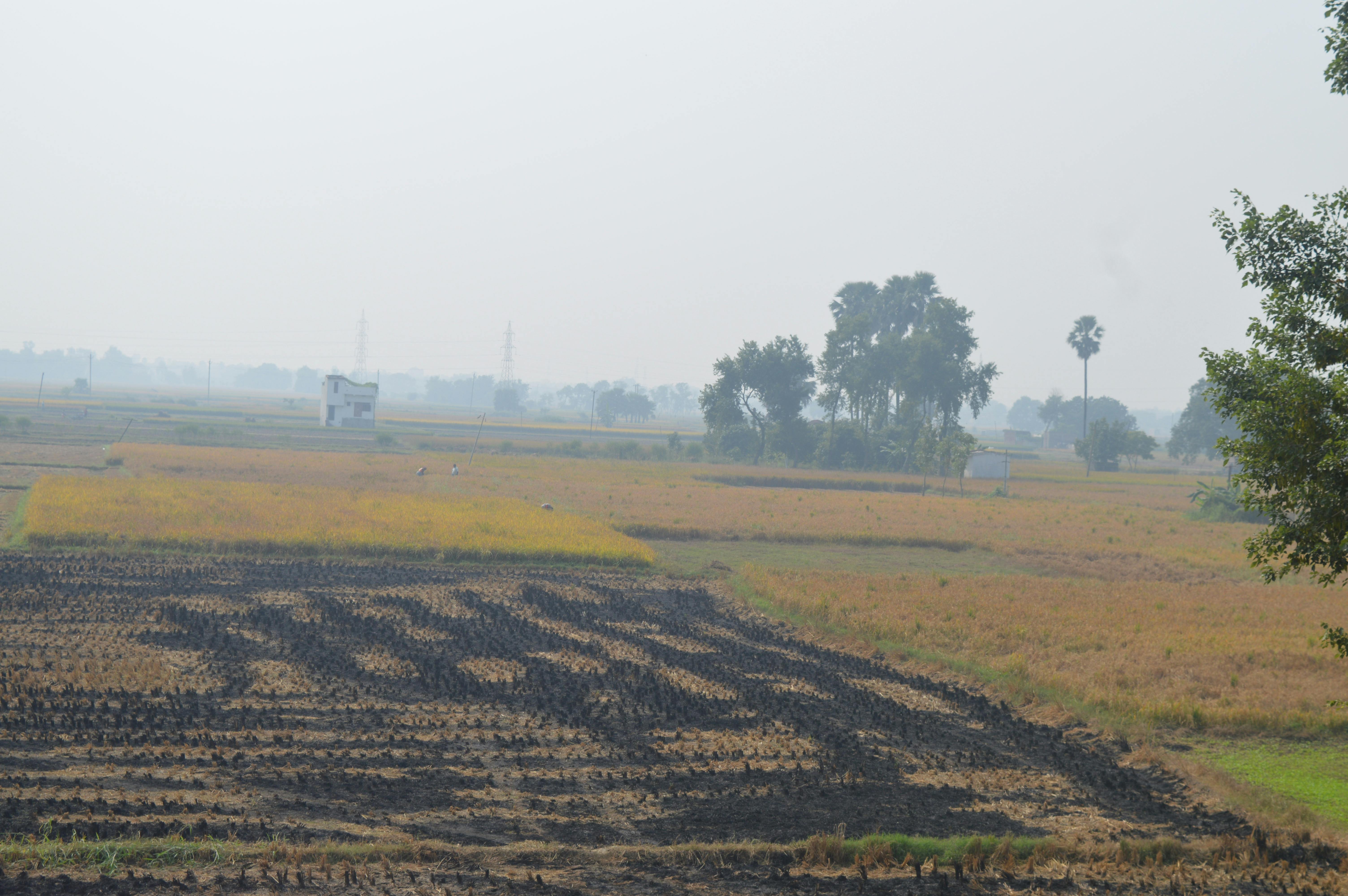 Free stock photo of beautiful nature