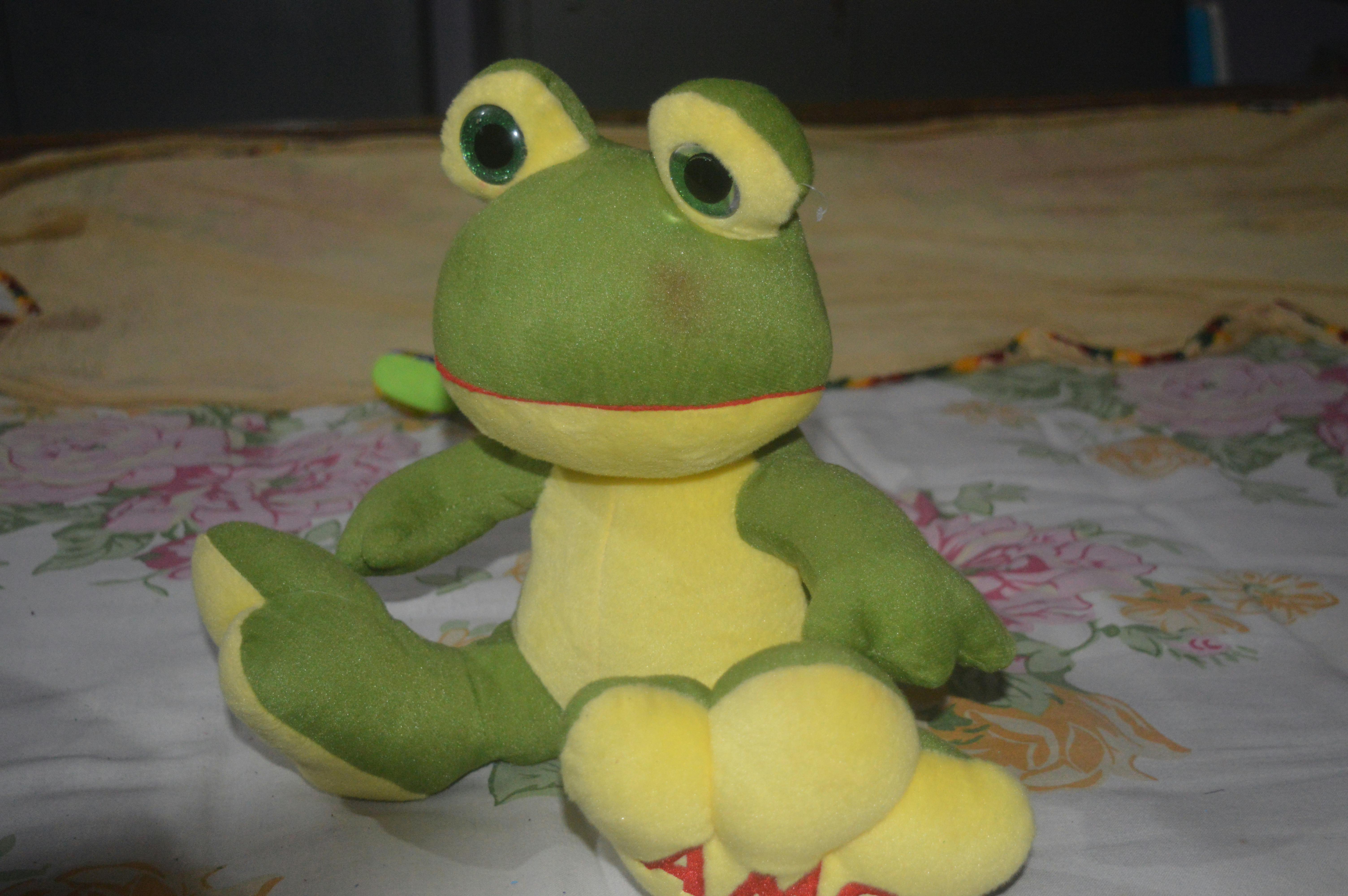 Free stock photo of frog