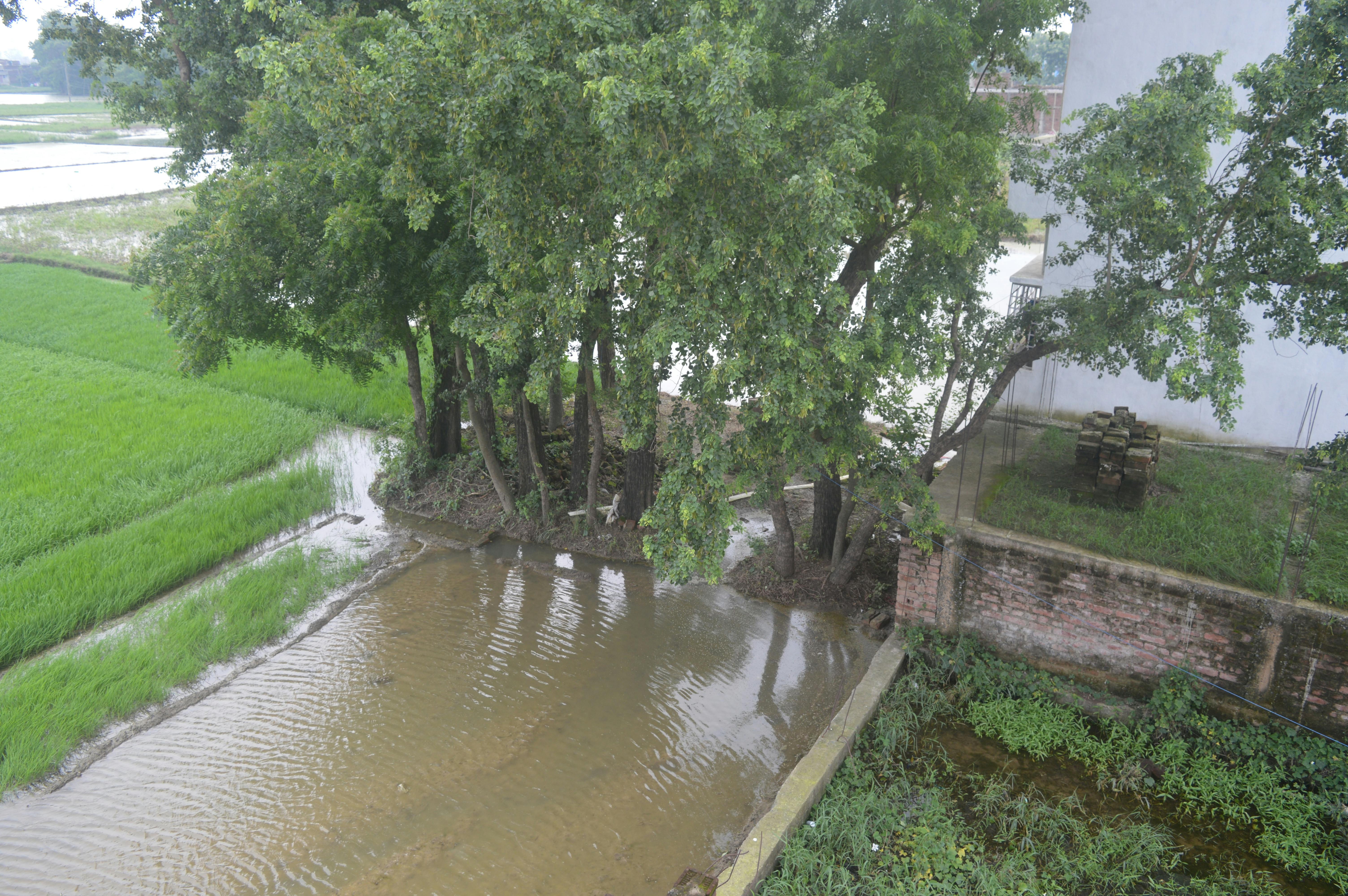 Free stock photo of beautiful nature