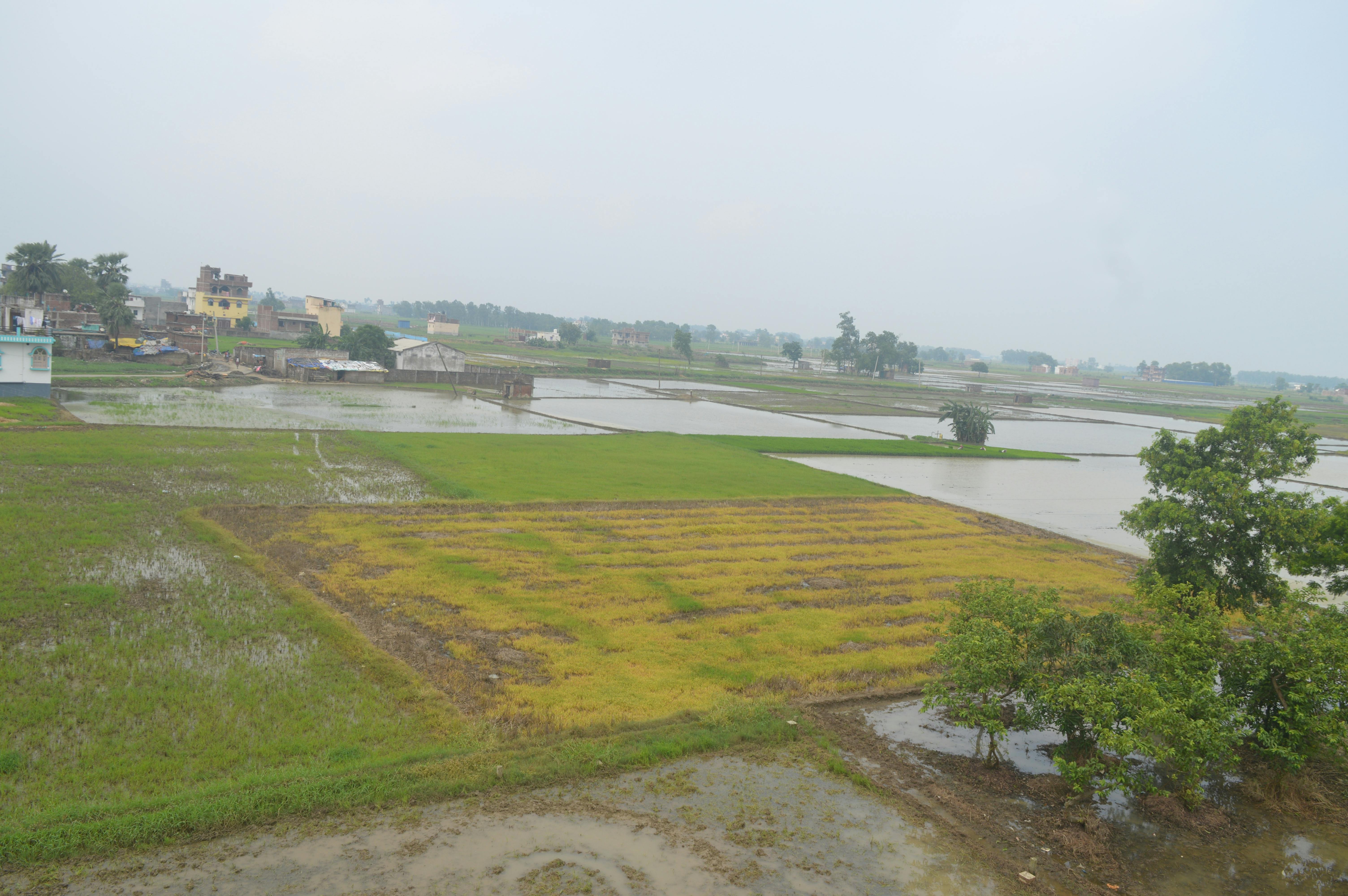 Free stock photo of beautiful nature, vv