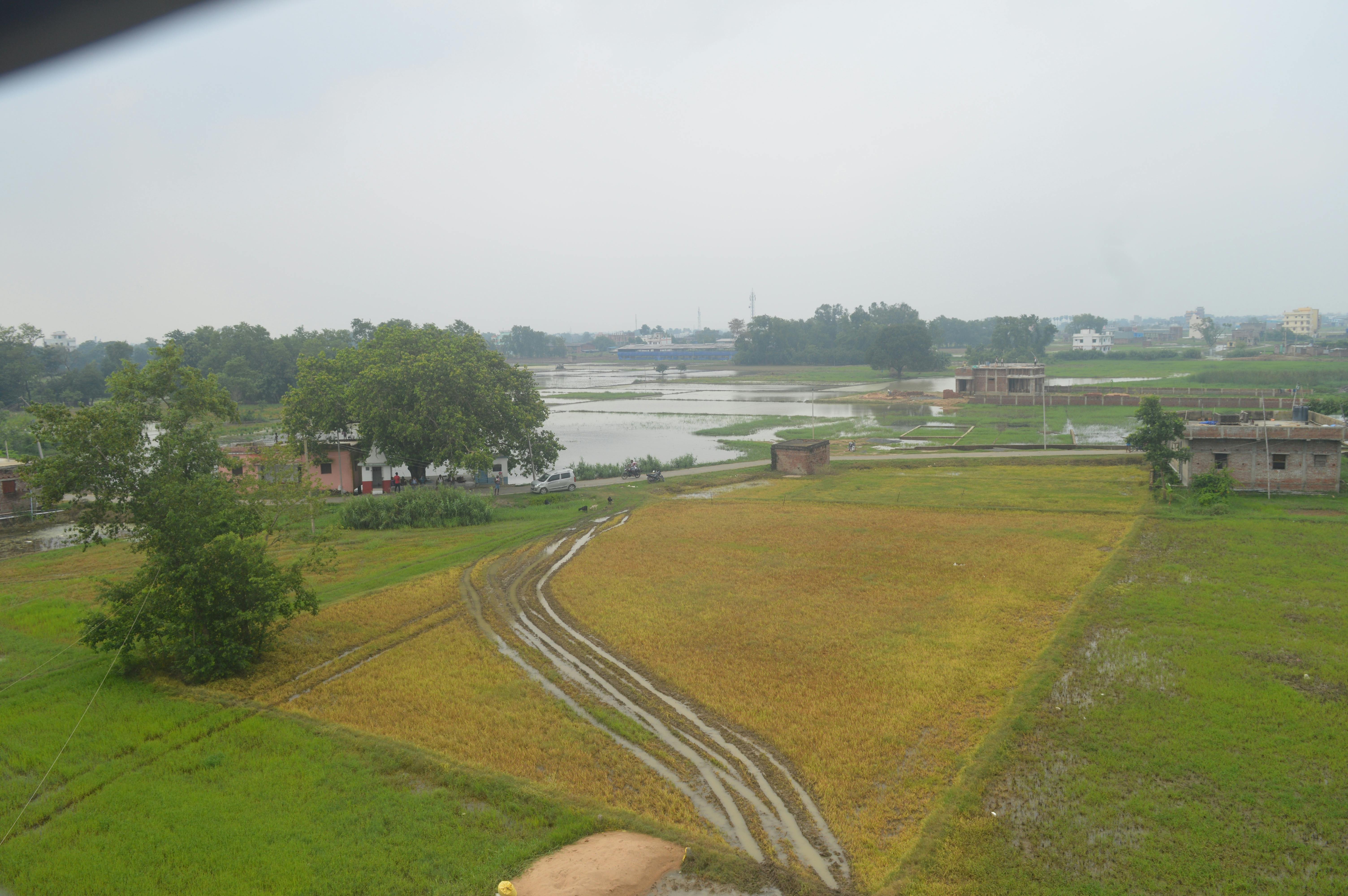 Free stock photo of beautiful nature