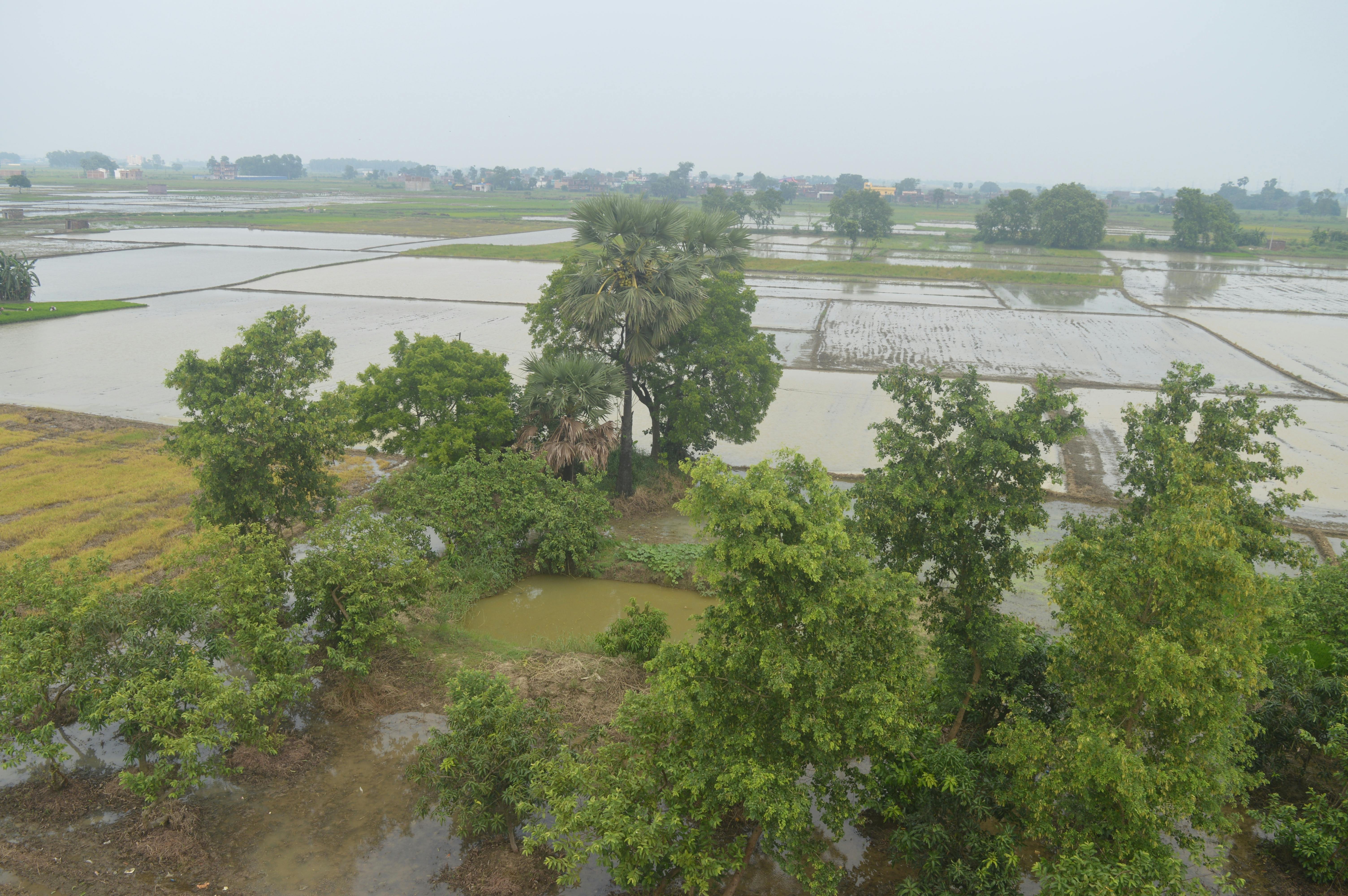 Free stock photo of beautiful nature