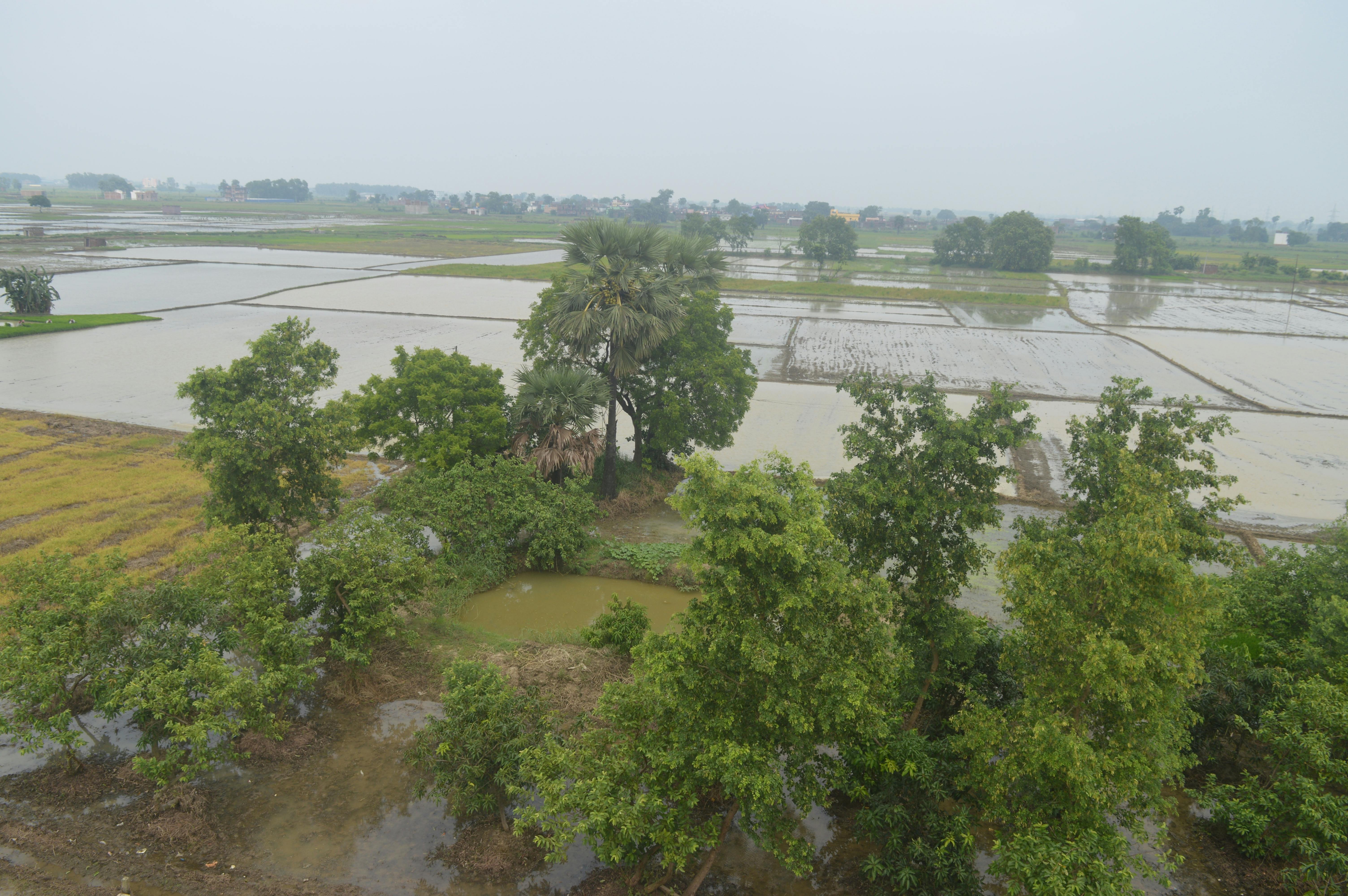 Free stock photo of beautiful nature