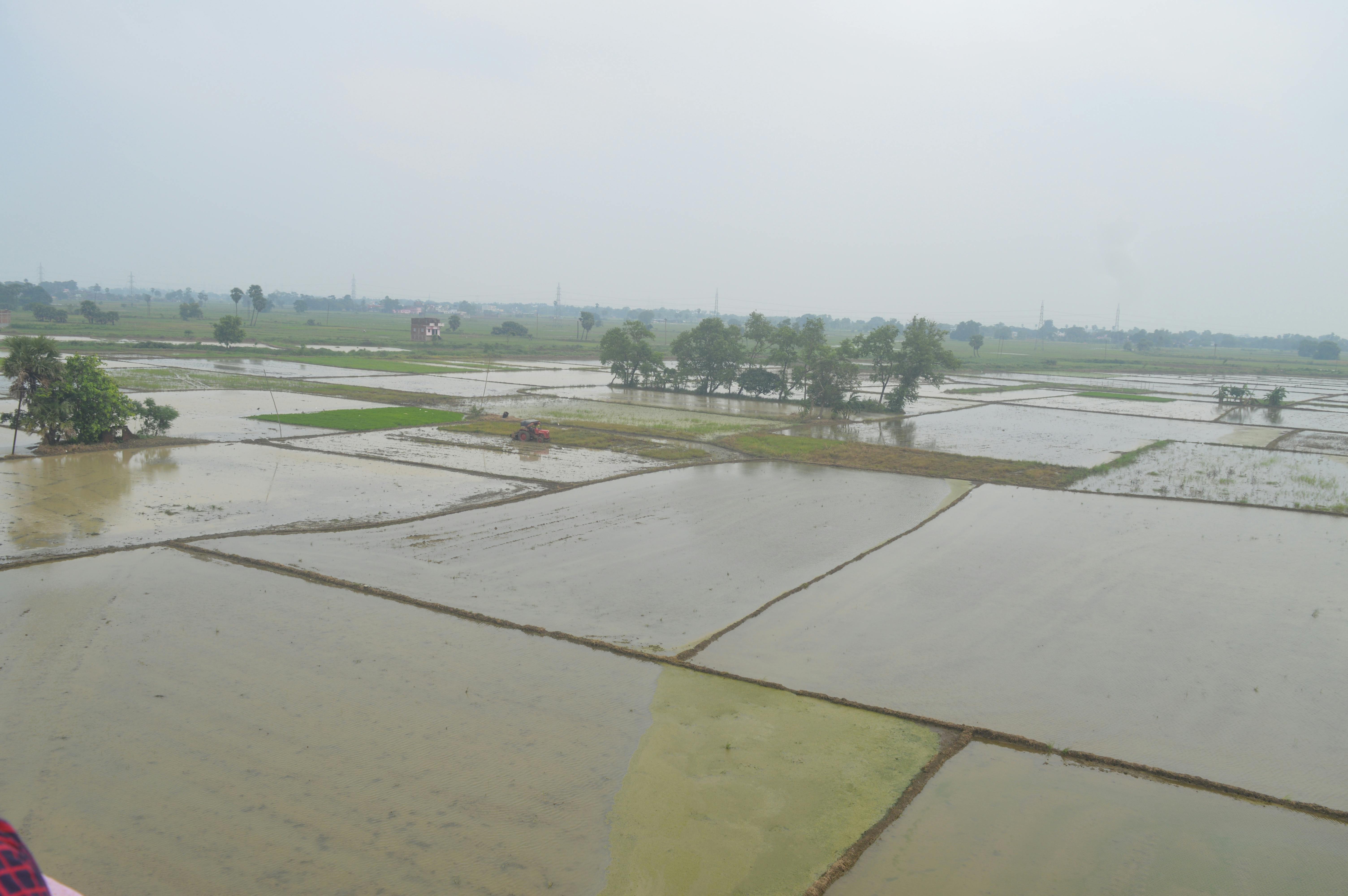 Free stock photo of beautiful nature