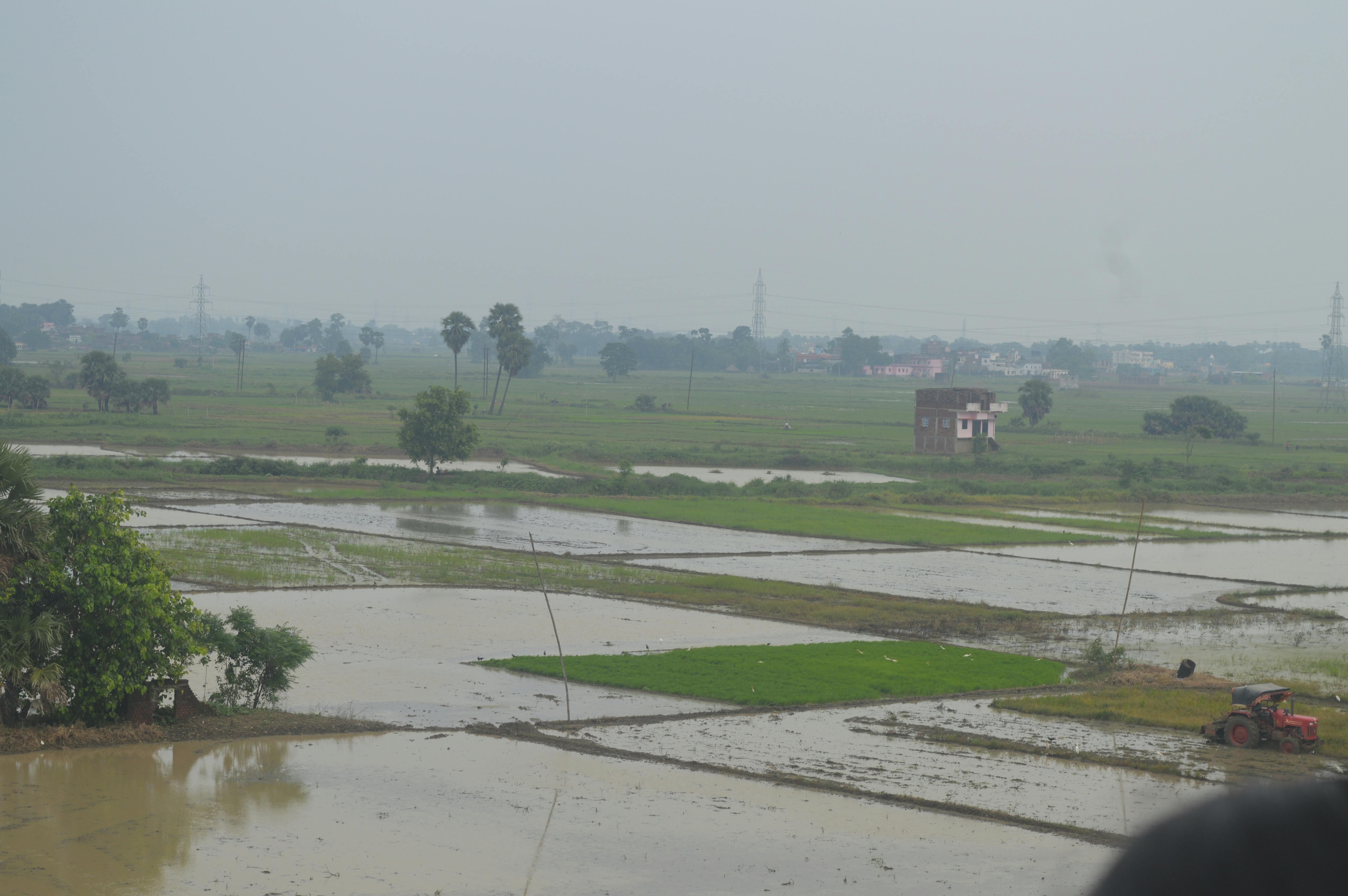 Free stock photo of beautiful nature