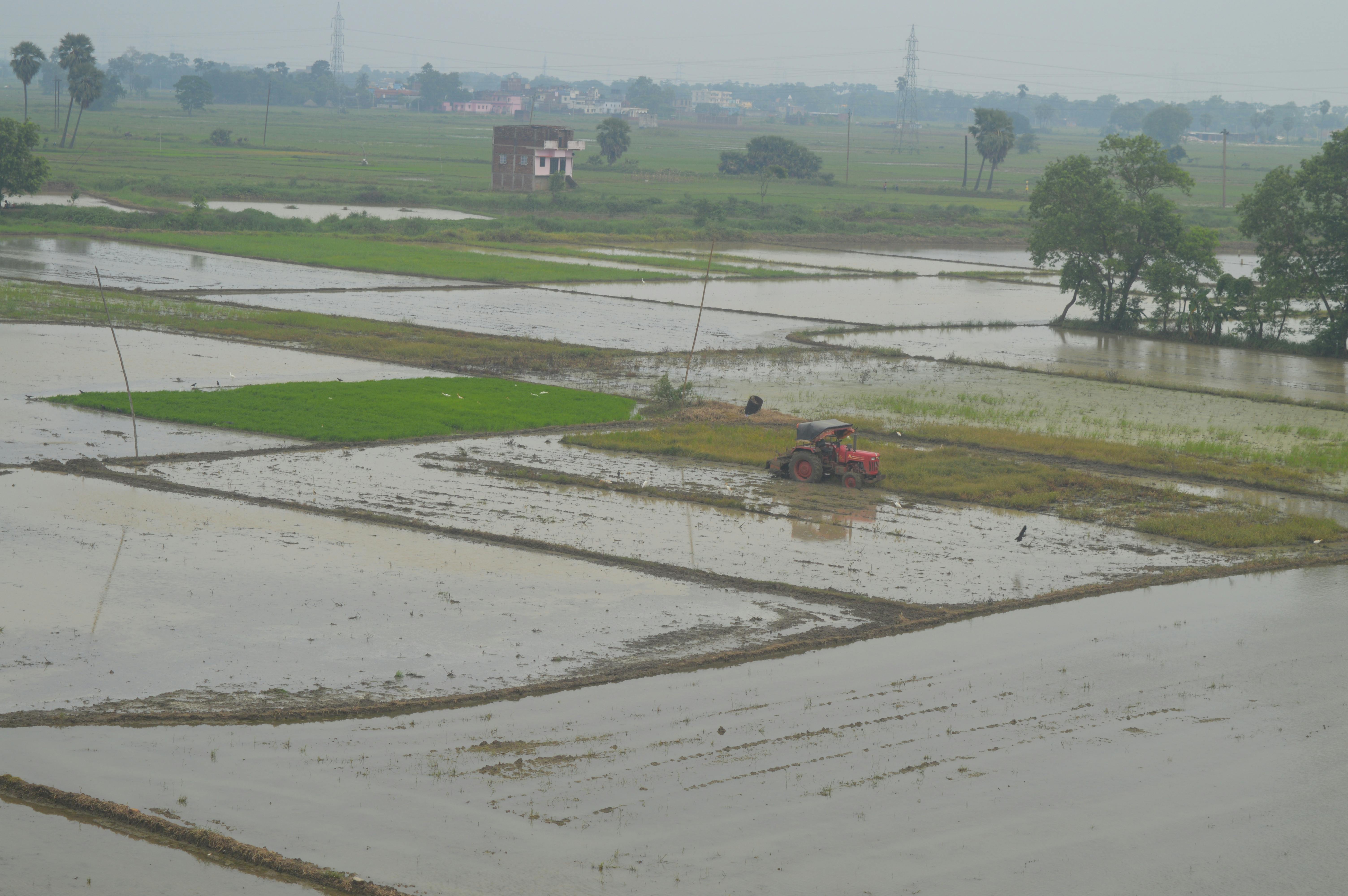 Free stock photo of beautiful nature