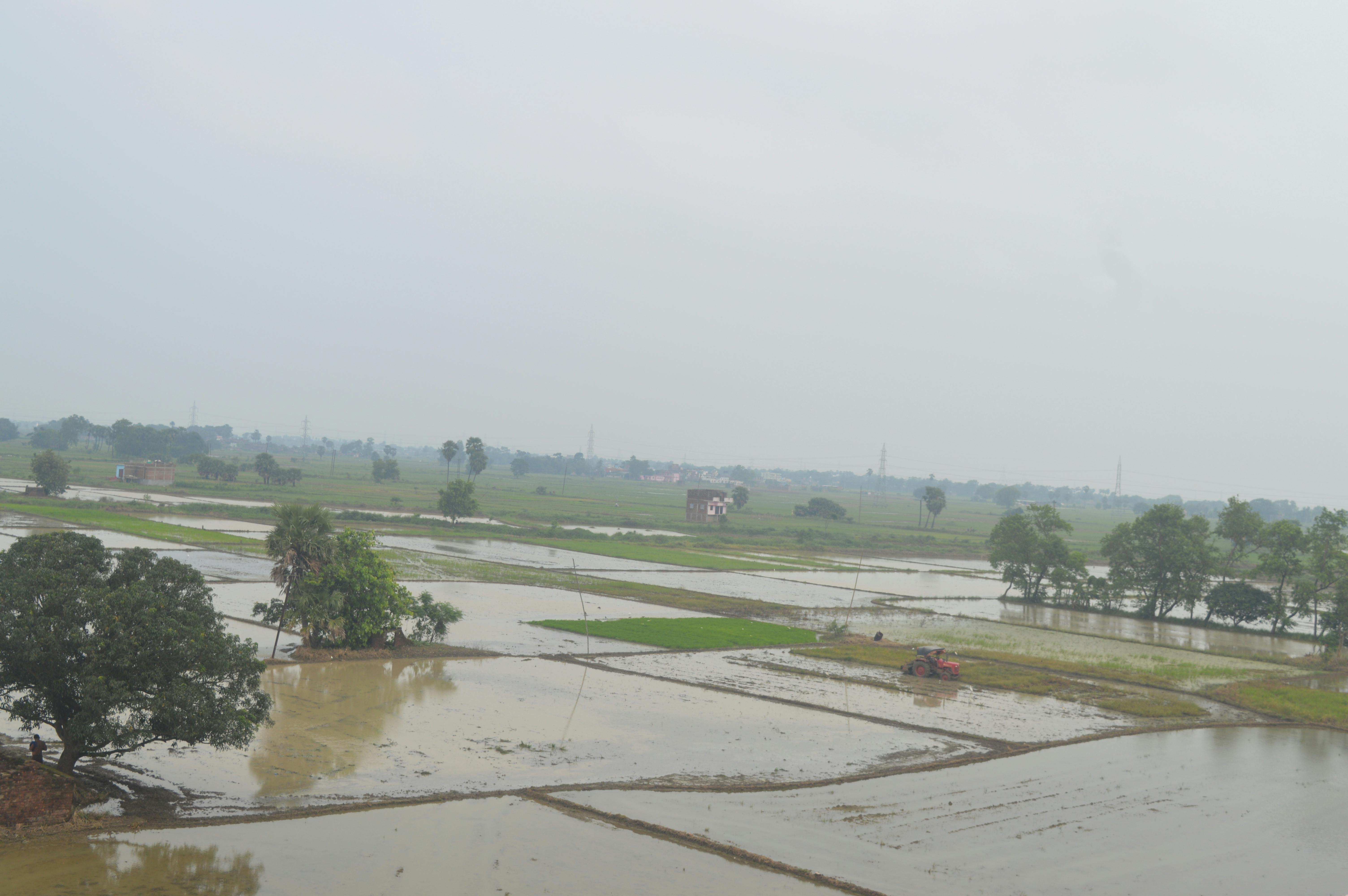 Free stock photo of beautiful nature