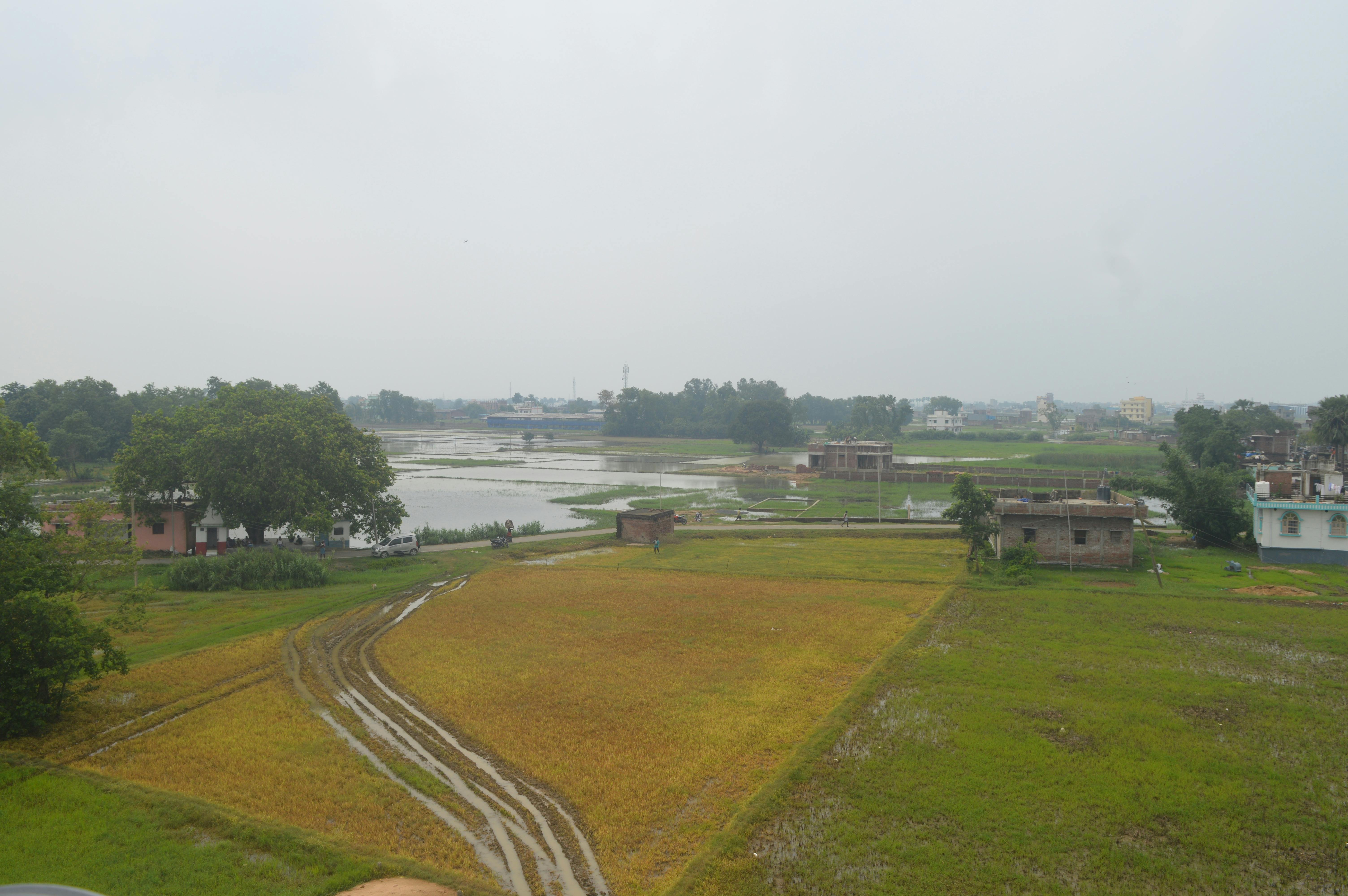 Free stock photo of beautiful nature