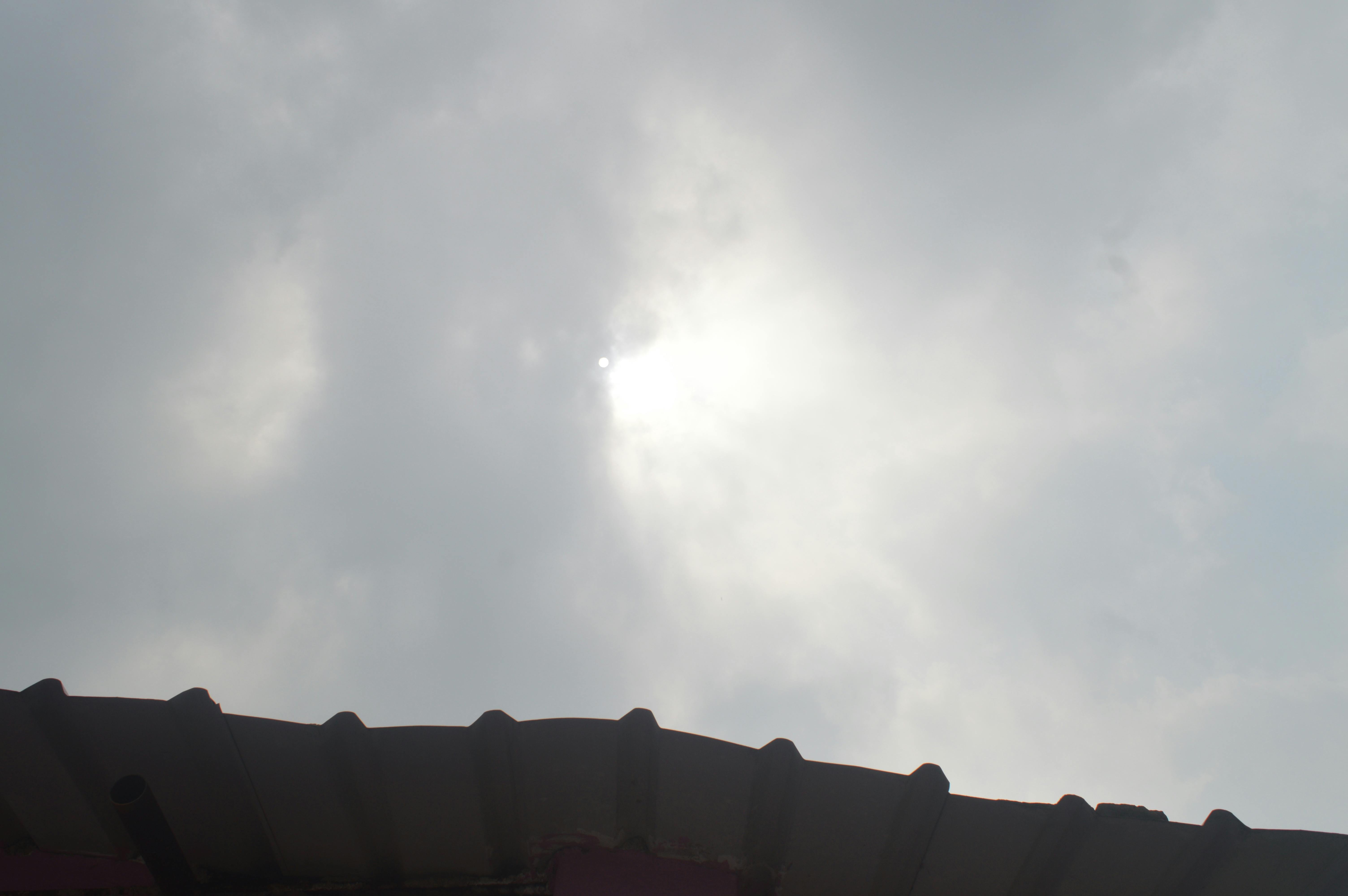 Free stock photo of beautiful nature